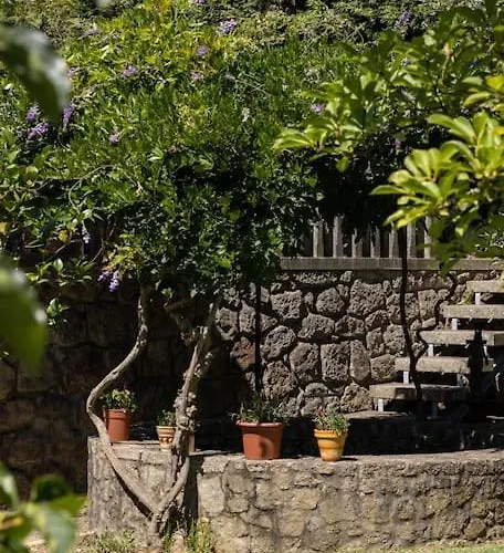 With Pool - Bom Jesus 别墅